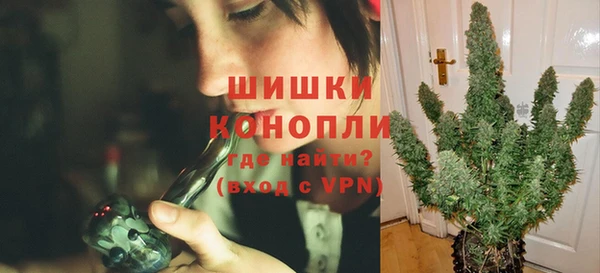 стаф Кодинск