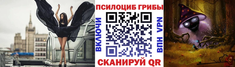 Псилоцибиновые грибы мицелий Невель