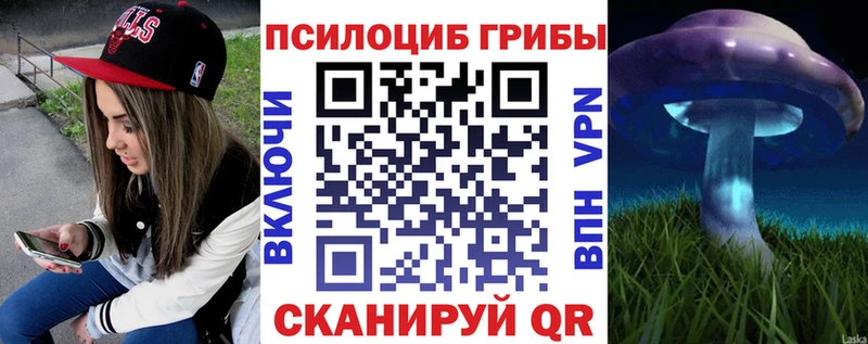 Галлюциногенные грибы Cubensis  дарнет шоп  Невель 